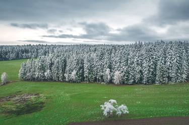 Print of Fine Art Nature Photography by Fabio Accorrà