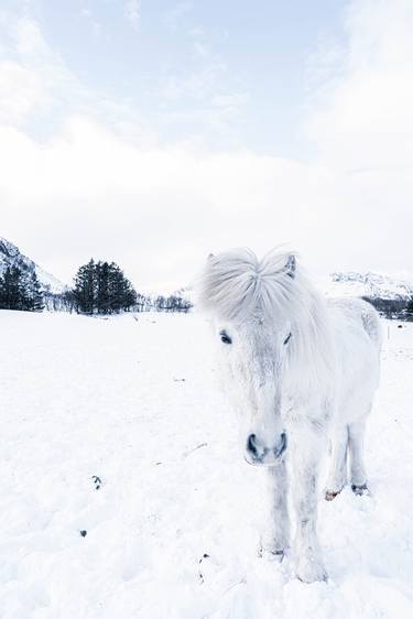 The white horse _III_ thumb
