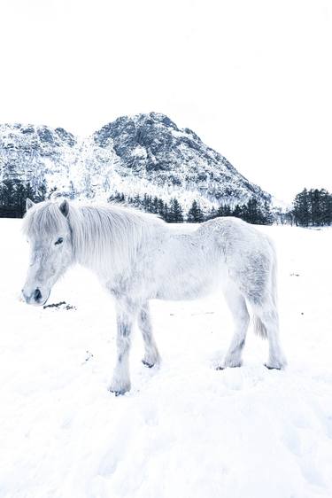 The white horse _IV_ thumb