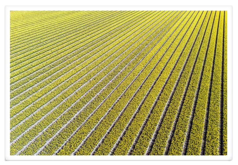 Original Impressionism Nature Photography by Fabio Accorrà