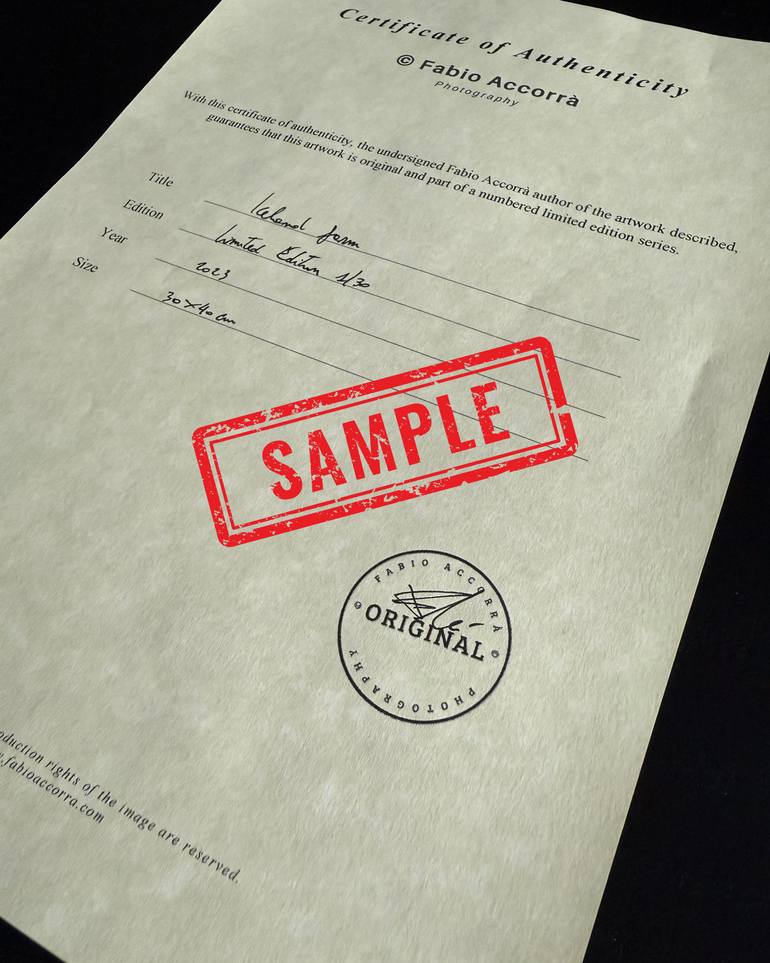 Original Impressionism Nature Photography by Fabio Accorrà