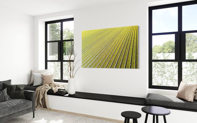 Original Impressionism Nature Photography by Fabio Accorrà