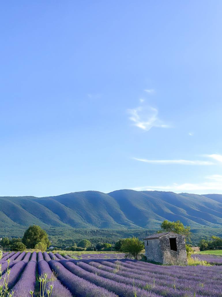 Original Landscape Photography by Fabio Accorra | Contemporary Art on Paper | The colors of Provence