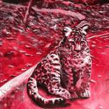 Red Jaguar by Rodrigo Jimenez-Ortega