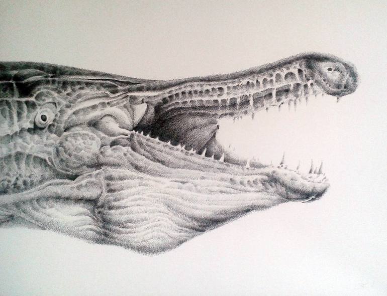 alligator gar Drawing by Jasper de Gelder | Saatchi Art