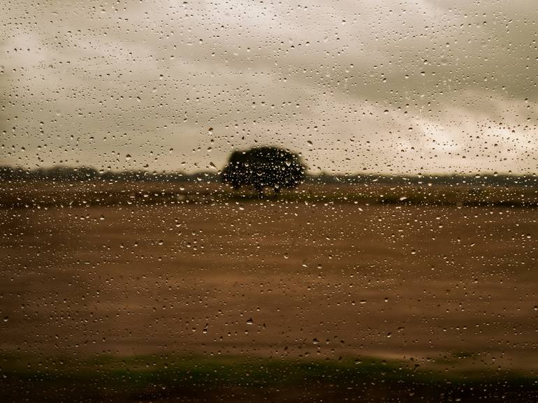Original Conceptual Landscape Photography by Yueying Wang