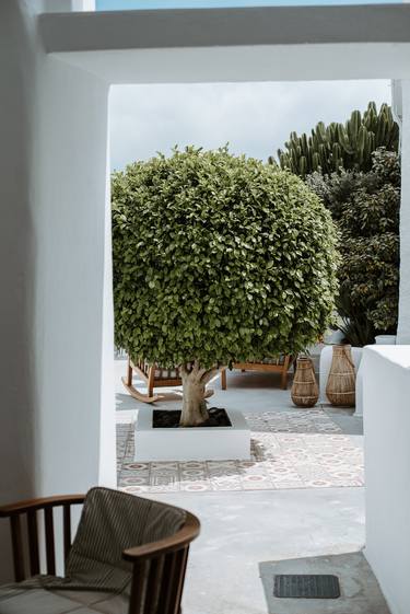Tree of Santorini thumb