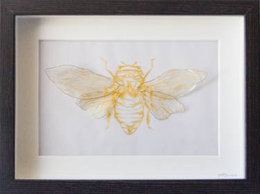 Golden insect - Cicada thumb