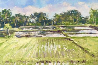 Rice fields thumb