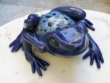 Rana velenosa-Poisonous frog thumb