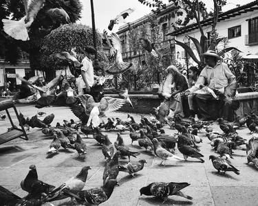 peope and pigeons - Limited Edition of 4 thumb