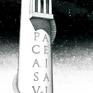 PACE AI SAVI close up
