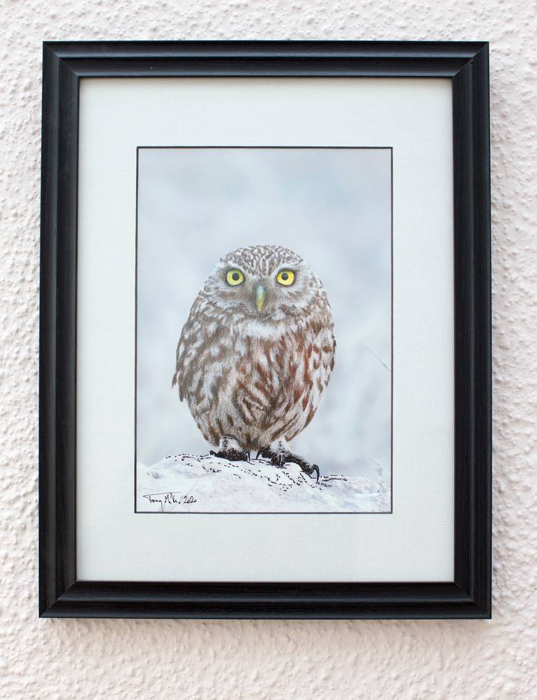 Original Figurative Animal Drawing by Anthony Mills