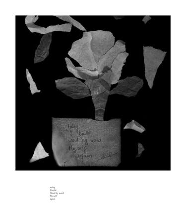 WORD BY WORD - A Photopoem - Turning Black Into Color Series - Limited Edition of 15 - Photograph & Poem by Daciana Lipai - Limited Edition of 15 thumb