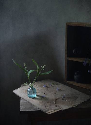 Original Realism Still Life Photography by Maria Sapego