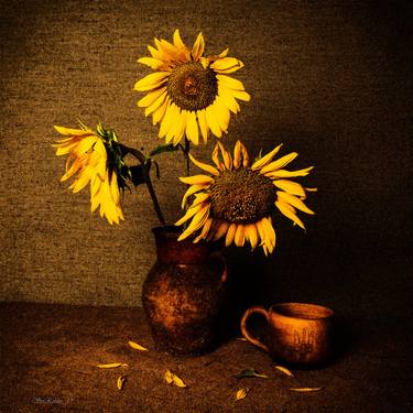 Print of Folk Floral Photography by Serhii Rozhko