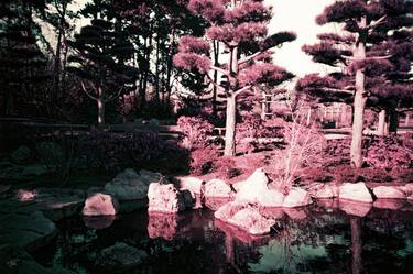 Original Expressionism Garden Photography by Thomas Prill