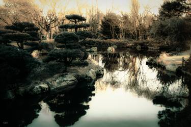 Print of Garden Photography by Thomas Prill