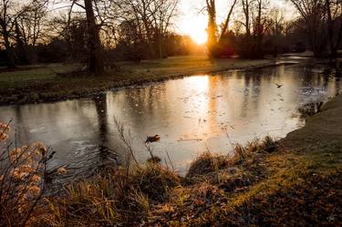 Print of Nature Photography by Thomas Prill