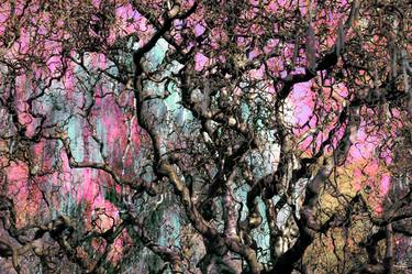 Original Expressionism Tree Photography by Thomas Prill