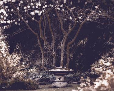 Print of Garden Photography by Thomas Prill