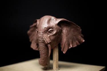 Elephant thumb