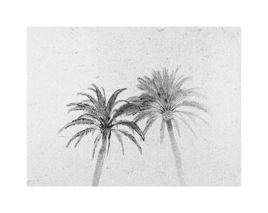 Palm Trees, Barcelona (Solarized) thumb
