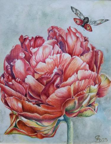 Original Fine Art Botanic Paintings by Anna Saveleva