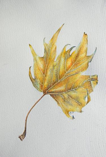 Print of Fine Art Botanic Paintings by Anna Saveleva