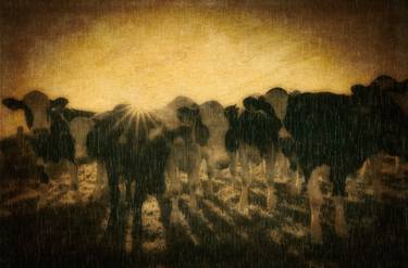 Original Fine Art Rural life Photography by Donal Mullins