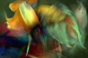 Original Abstract Fish Photography by Michael Filonow