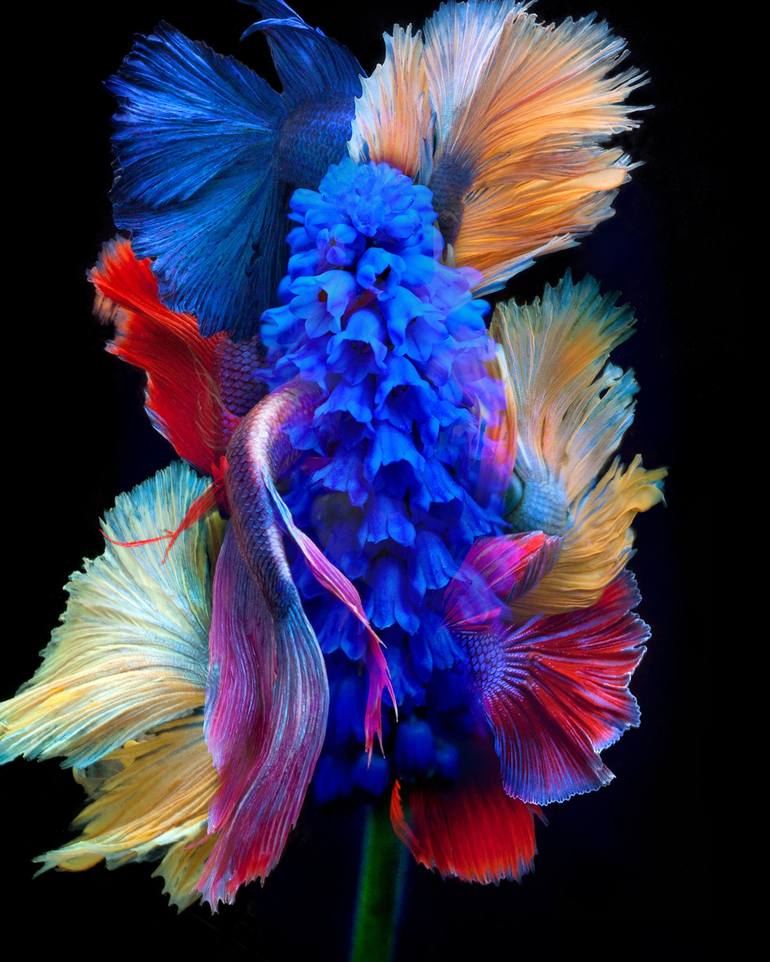 Print of Abstract Botanic Photography by Michael Filonow