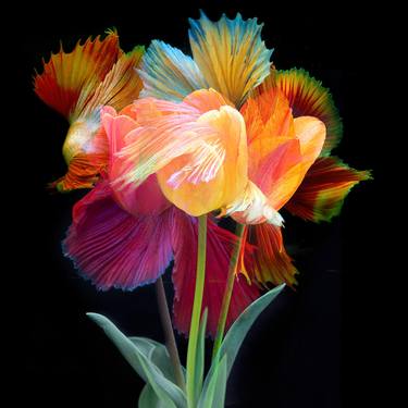 Print of Abstract Floral Photography by Michael Filonow