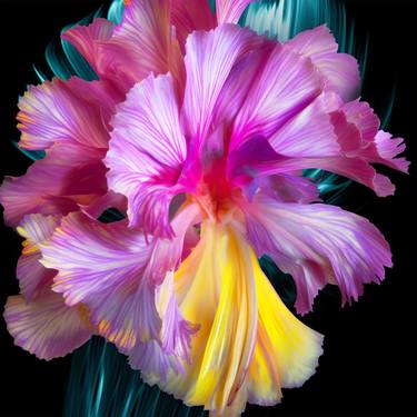 Print of Botanic Photography by Michael Filonow