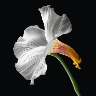 Original Fine Art Floral Photography by Michael Filonow