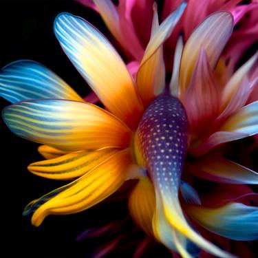 Original Contemporary Floral Photography by Michael Filonow