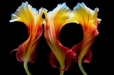 Original Fine Art Botanic Photography by Michael Filonow