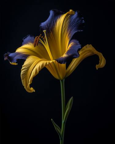 Original Modern Botanic Photography by Michael Filonow