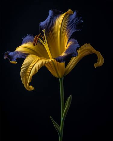 Original Botanic Photography by Michael Filonow