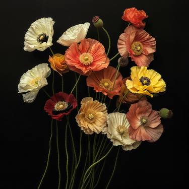 Original Contemporary Botanic Photography by Michael Filonow