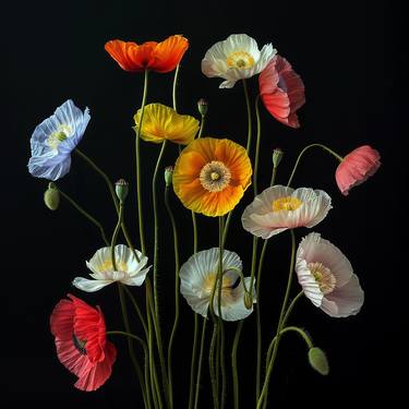 Original Photorealism Botanic Photography by Michael Filonow