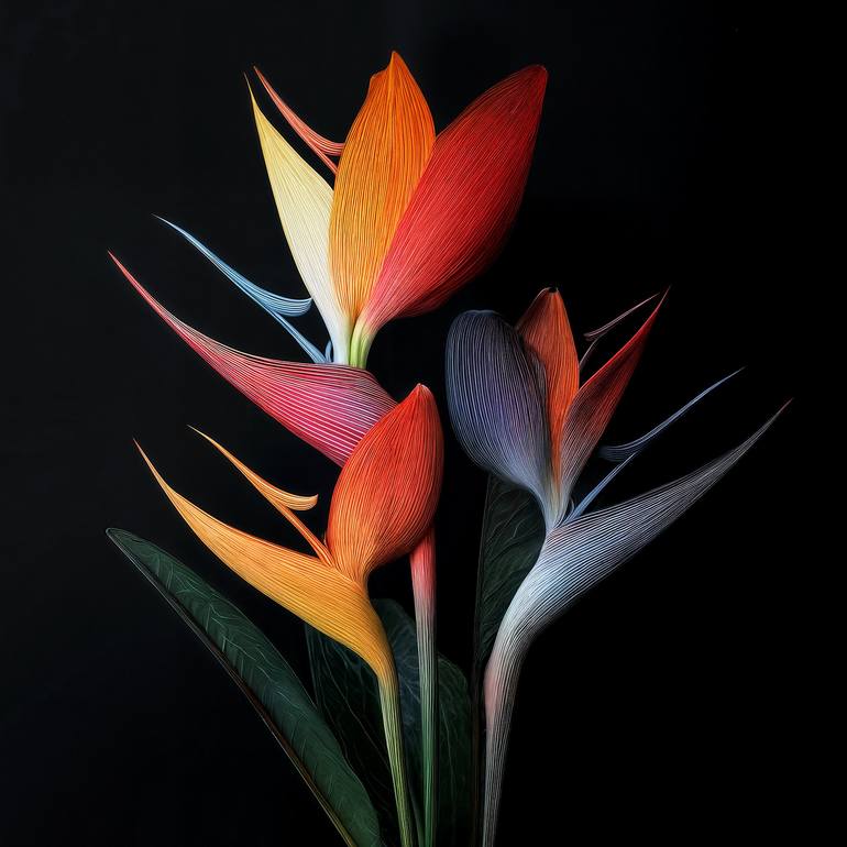 Original Botanic Photography by Michael Filonow | Contemporary Art on Paper | Birds Of Paradise 3