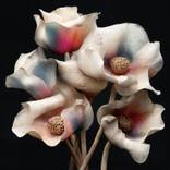 Ivory Bloom by Michael Filonow