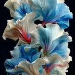 The Color Swirl by Michael Filonow