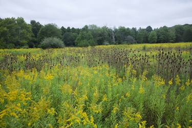 Original Landscape Photography by Michael Filonow