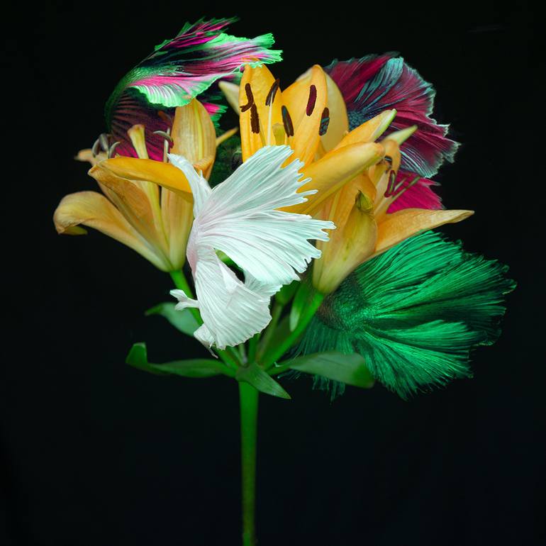 Original Fine Art Floral Photography by Michael Filonow