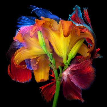 Original Abstract Botanic Photography by Michael Filonow