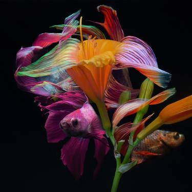 Original Abstract Expressionism Botanic Photography by Michael Filonow