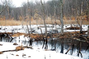 Print of Fine Art Landscape Photography by Michael Filonow