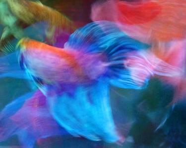 Original Abstract Fish Photography by Michael Filonow